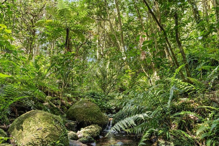 Photo of property in 409 Whatitiri Road, Poroti, Whangarei, 0179