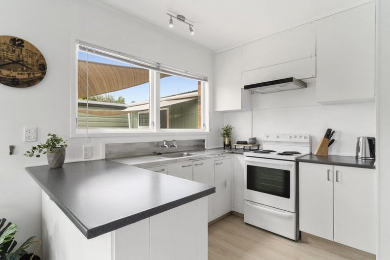 Photo of property in 1252b Cameron Road, Gate Pa, Tauranga, 3112