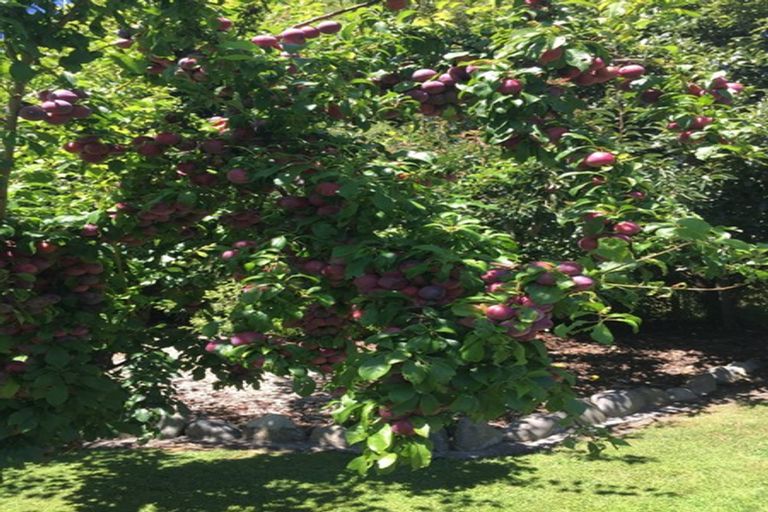 Photo of property in 6315 State Highway 1, Mangaweka, 4797