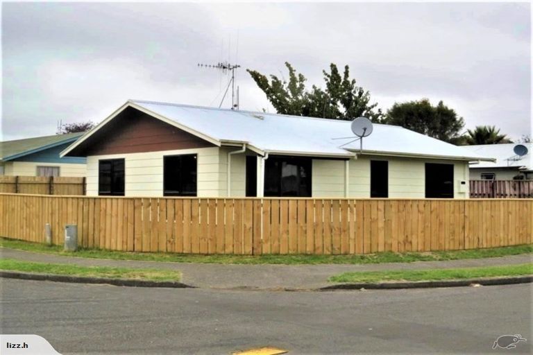 Photo of property in 11 Balmoral Street, Levin, 5510