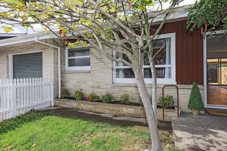 Photo of property in 2/707 York Street, Mahora, Hastings, 4120