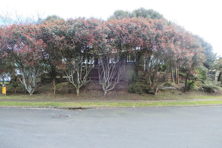 Photo of property in 110 Reservoir Street, Putaruru, 3411