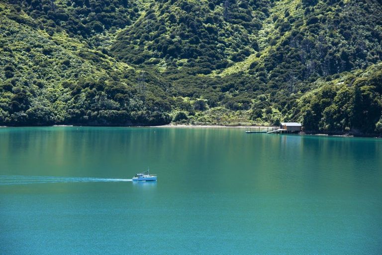 Photo of property in 440 Port Underwood, Whatamango Bay, Picton, 7281