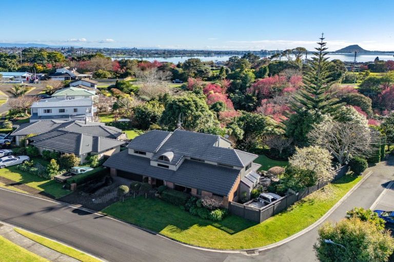 Photo of property in 3 Curlew Close, Maungatapu, Tauranga, 3112