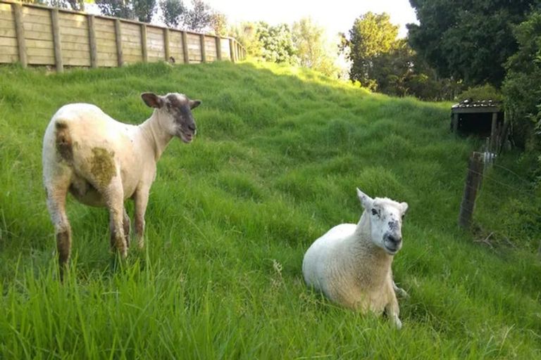 Photo of property in 53b Cemetery Road, Te Arai, Wellsford, 0975