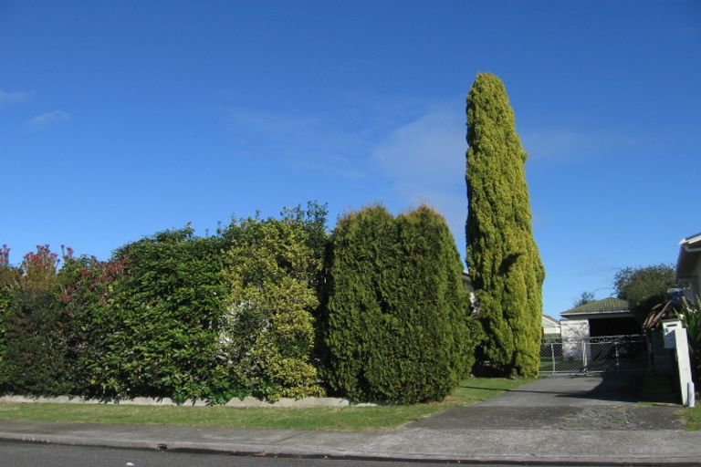 Photo of property in 605 Buller Street, Akina, Hastings, 4122