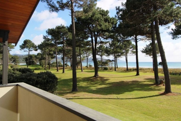 Photo of property in 800 Matarangi Drive, Matarangi, Whitianga, 3592