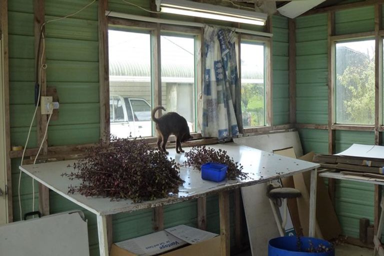 Photo of property in 46 Laurel Drive, Whakamarama, Tauranga, 3179