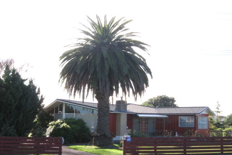 Photo of property in 6 Waerenga Road, Otaki, 5512