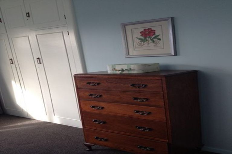 Photo of property in 5 Jameson Avenue, St Albans, Christchurch, 8052