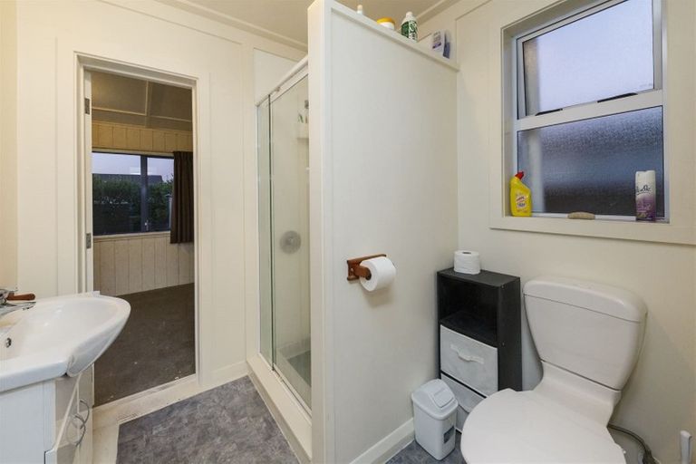 Photo of property in 99 Shamrock Street, Takaro, Palmerston North, 4412