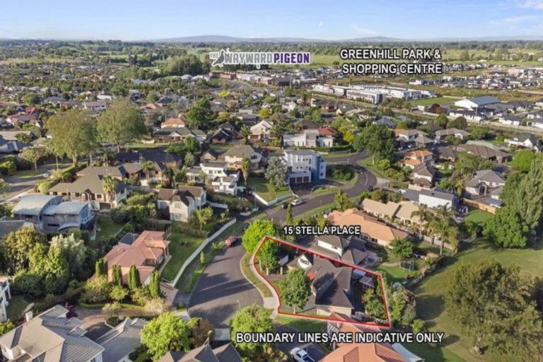 Photo of property in 15 Stella Place, Chartwell, Hamilton, 3210