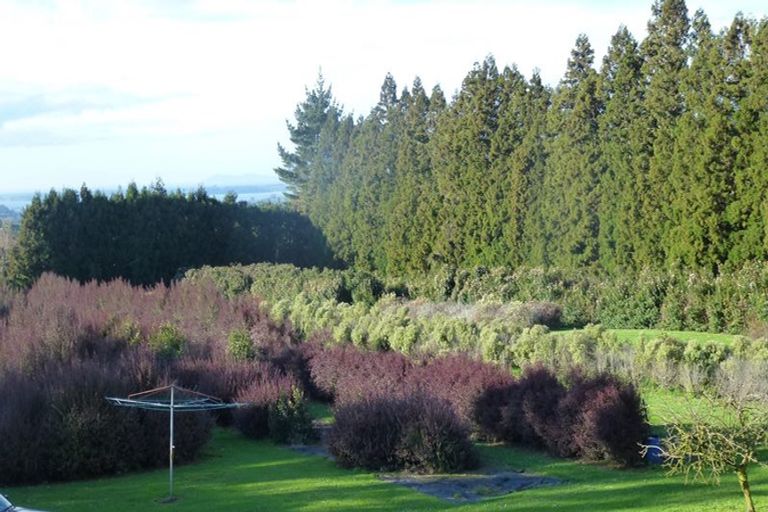 Photo of property in 46 Laurel Drive, Whakamarama, Tauranga, 3179