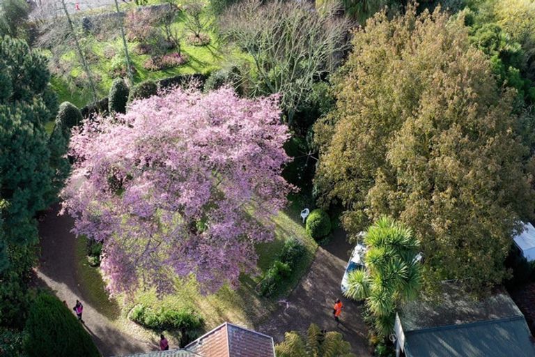 Photo of property in 125 Matangi Road, Matangi, Hamilton, 3284