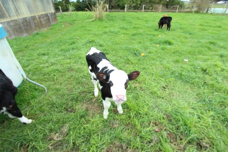 Photo of property in 20 Kinloch Road, Lichfield, Putaruru, 3482