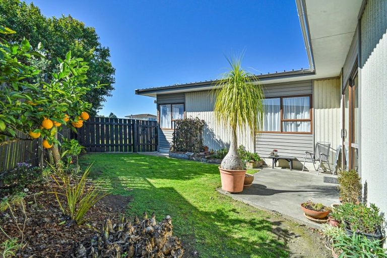 Photo of property in 505 Poplar Place, Akina, Hastings, 4122