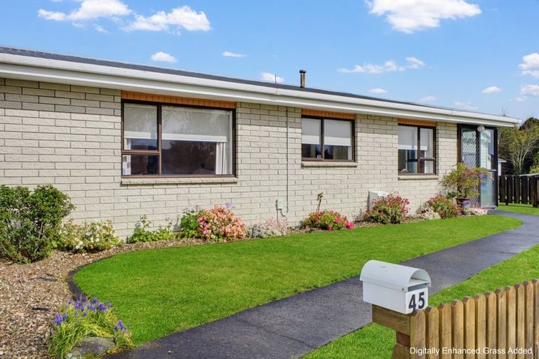 Photo of property in 45a Portia Street, Stratford, 4332
