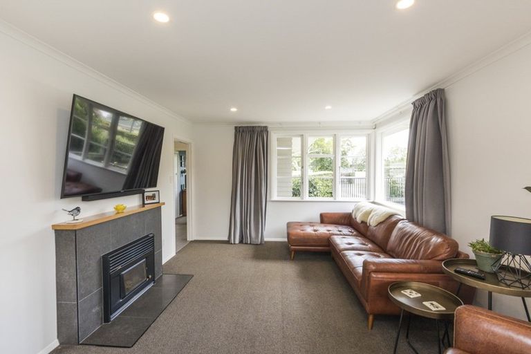 Photo of property in 53 Guy Avenue, Takaro, Palmerston North, 4410