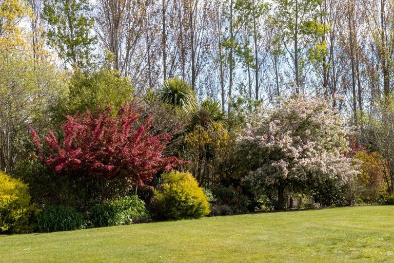 Photo of property in 185 Brownleas Road, Makikihi, Waimate, 7978