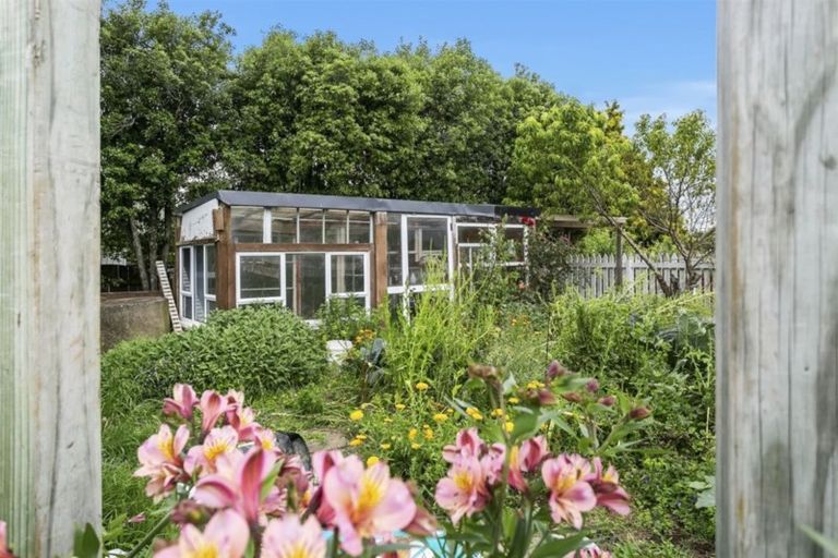 Photo of property in 3 Great Collins Street, Ohaupo, 3803