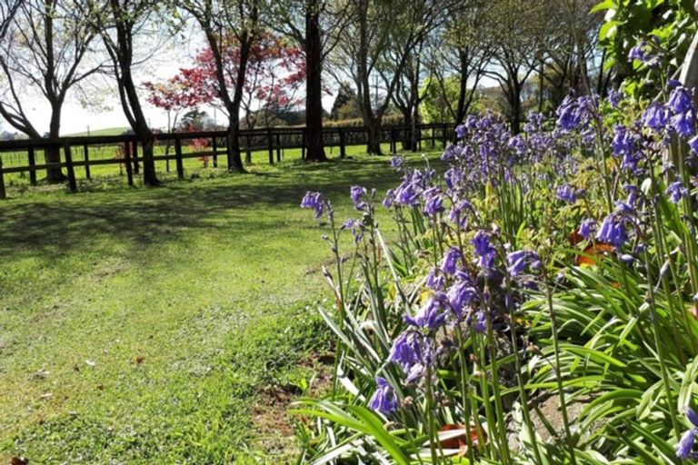 Photo of property in 273 Norfolk Road, Norfolk, Inglewood, 4388