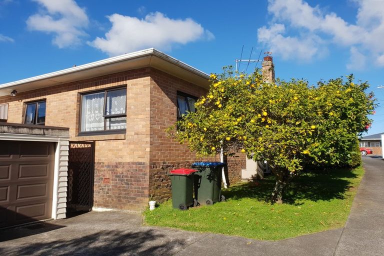 Photo of property in 424a Mount Albert Road, Mount Roskill, Auckland, 1041