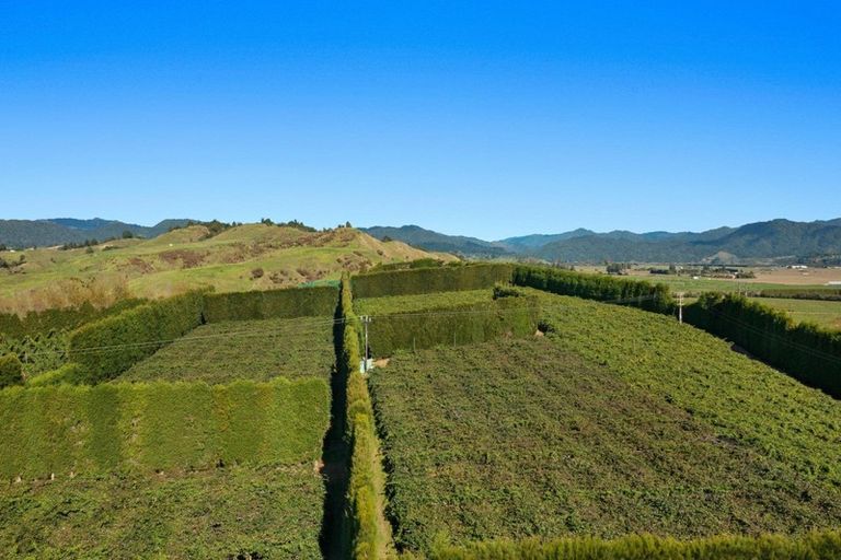 Photo of property in 31 Clark Cross Road, Otara, Opotiki, 3197