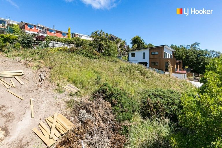 Photo of property in 1 Lauriston Street, Andersons Bay, Dunedin, 9013