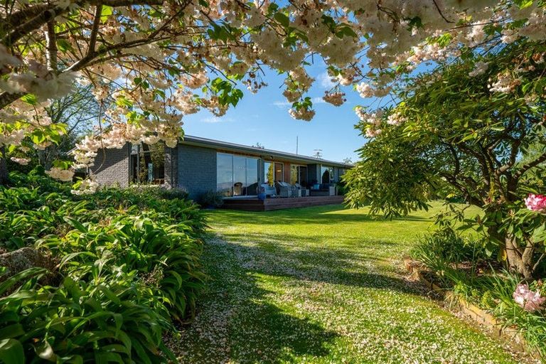 Photo of property in 159 Downs Road, Geraldine Downs, Geraldine, 7991