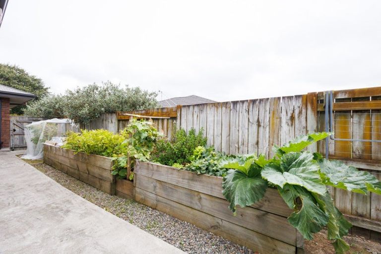 Photo of property in 18 Oak Crescent, Ashhurst, 4810