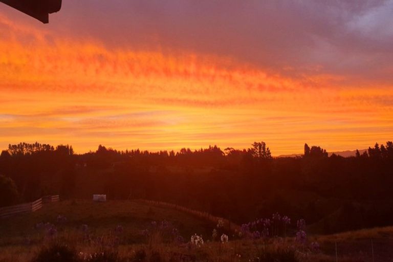 Photo of property in 912 Omanawa Road, Omanawa, Tauranga, 3171