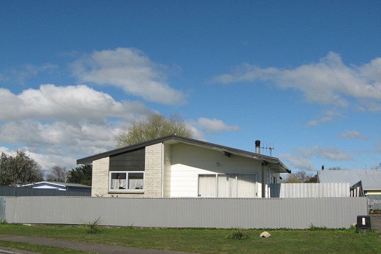 Photo of property in 17 Porritt Place, Waipukurau, 4200