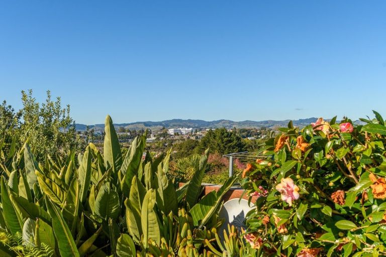 Photo of property in 2/41 Manchester Way, Judea, Tauranga, 3110