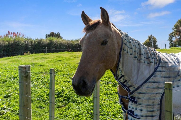 Photo of property in 7 Martin Road, Waerenga, Te Kauwhata, 3781