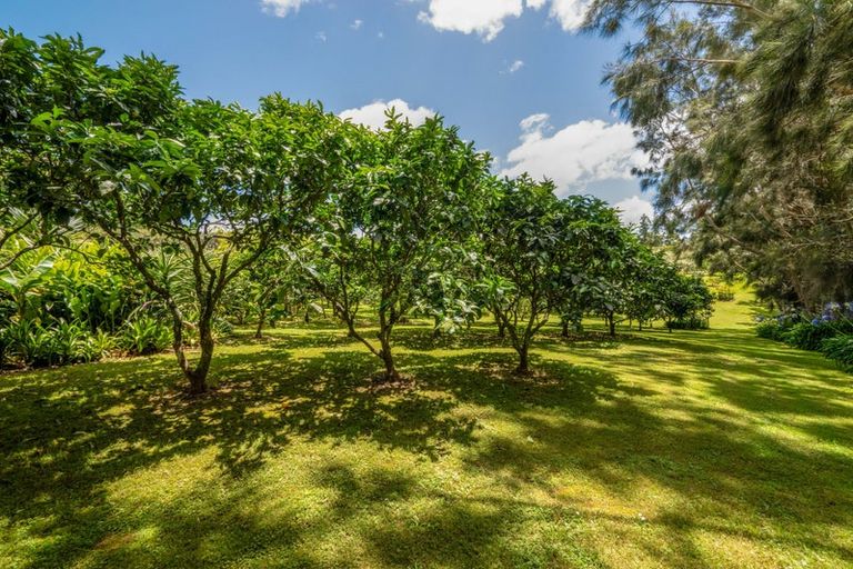 Photo of property in 303 Puketotara Road, Waipapa, Kerikeri, 0295