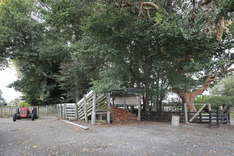 Photo of property in 455b State Highway 1, Bulls, 4894