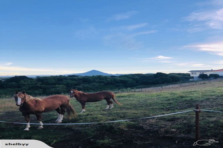 Photo of property in 8 Jersey Place, Bell Block, New Plymouth, 4312