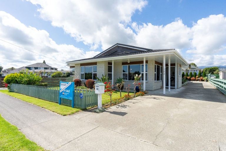 Photo of property in 154 Winchester Street, Levin, 5510