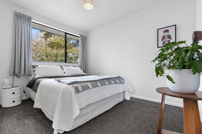 Photo of property in 45a Hibiscus Avenue, Hamilton Lake, Hamilton, 3204