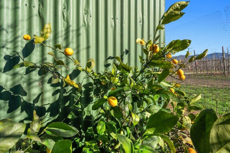 Photo of property in 56 Wills Road, Upper Moutere, 7175