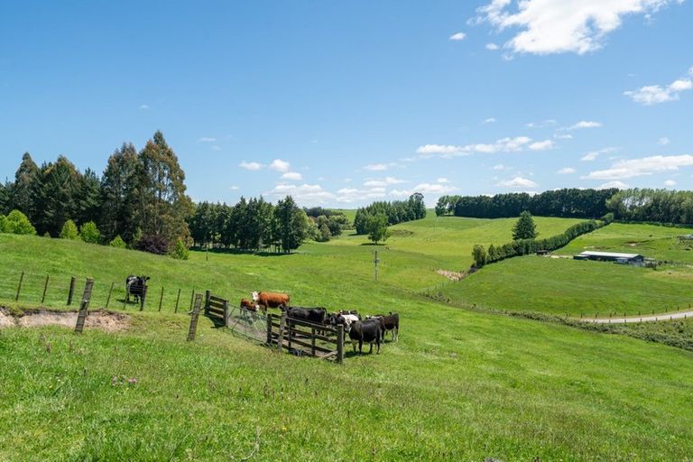 Photo of property in 483 Palmer Mill Road, Wairakei, Taupo, 3384