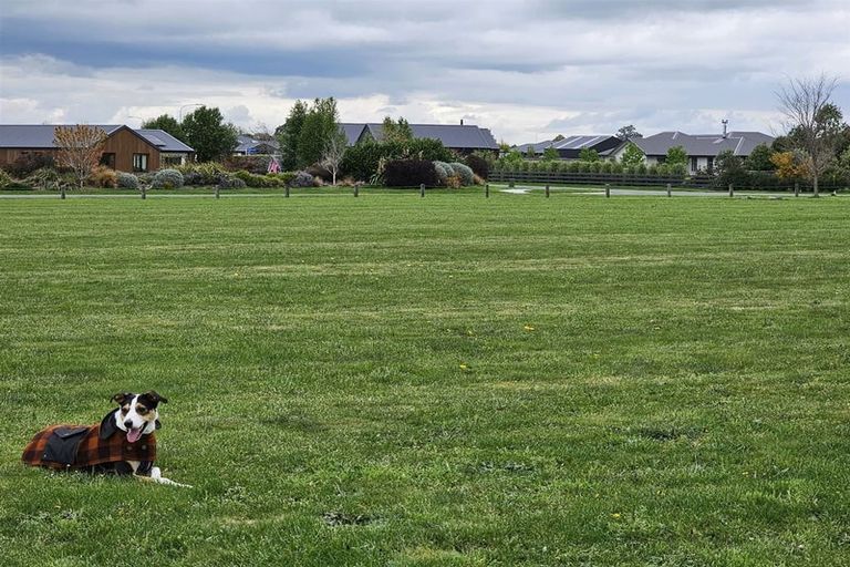 Photo of property in 18 Plover Avenue, Amberley, 7410