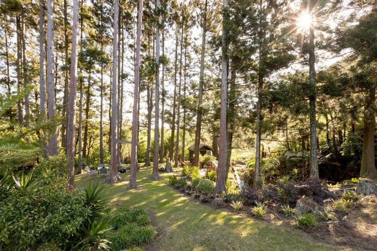 Photo of property in 115 Ngatitangata Road, Waihi, 3681