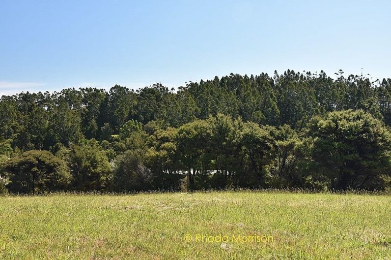 Photo of property in 17 Te Wairoa Lane, Tinopai, Matakohe, 0593