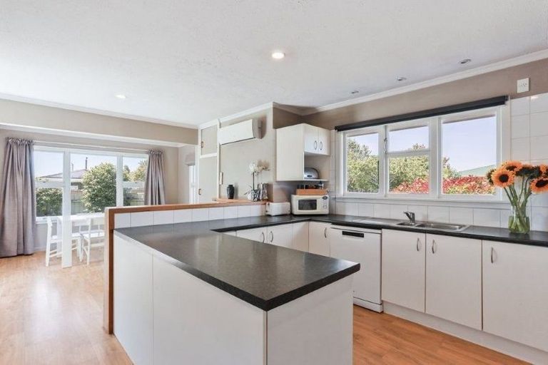 Photo of property in 26 Donegal Street, Belfast, Christchurch, 8051