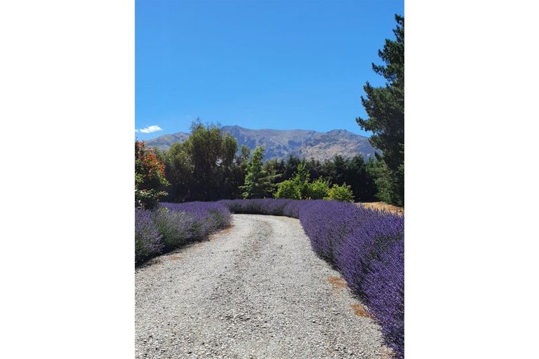 Photo of property in 88 Lachlan Avenue, Hawea Flat, Wanaka, 9382