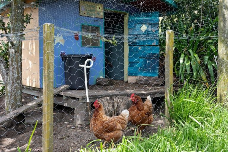 Photo of property in 1124a Wainui Road, Wainui, Opotiki, 3198