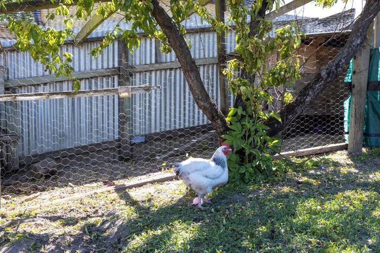 Photo of property in 278 Scott Street, Witherlea, Blenheim, 7201