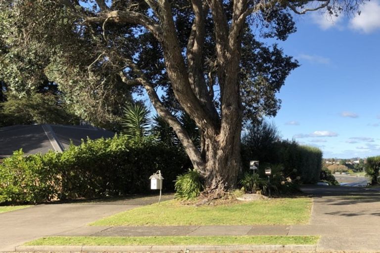 Photo of property in 49e Judea Road, Judea, Tauranga, 3110