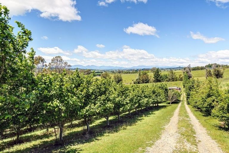 Photo of property in 127 Mcbrydie Road, Lower Moutere, Upper Moutere, 7175